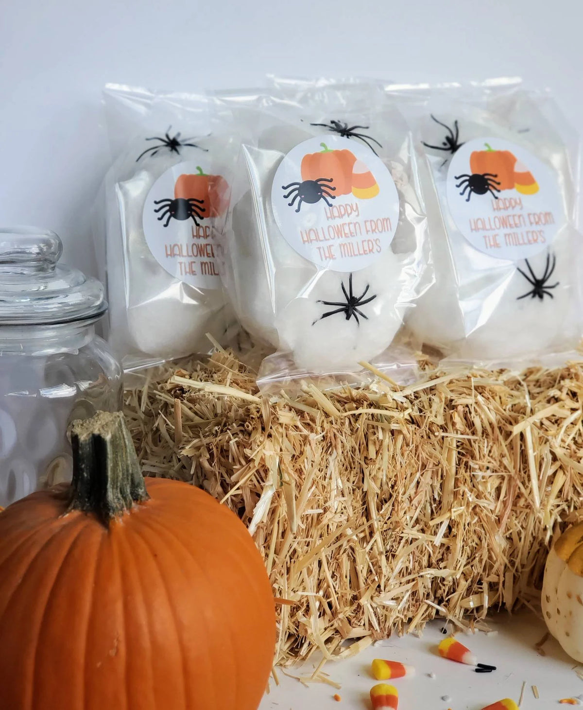 Halloween Party Favors &quot;OG&quot; Original Bag with Spiders!