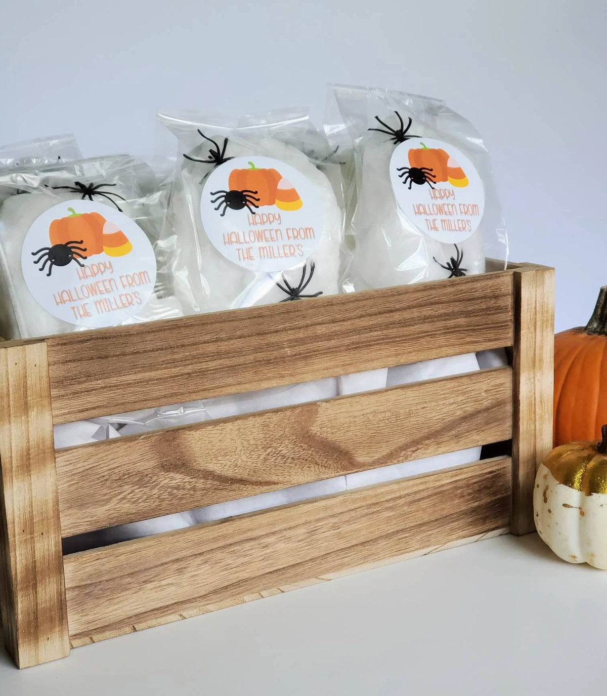 Halloween Party Favors &quot;OG&quot; Original Bag with Spiders!